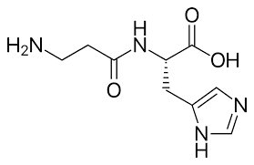 Carnosine