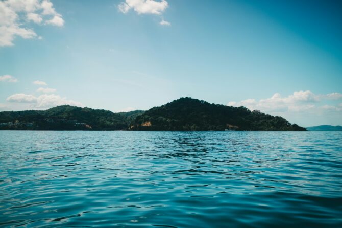 Hydrolysat de collagène marin 